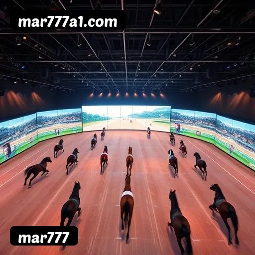 Termos e Condições Transparentes mar777